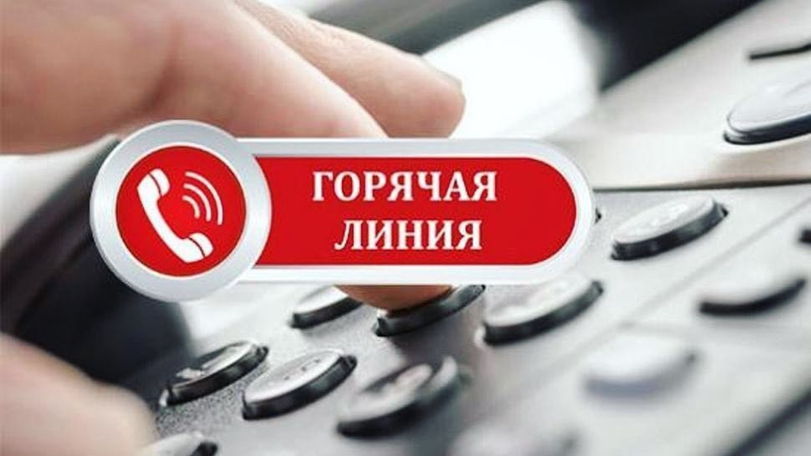 Управление Роспотребнадзора информирует о проведении совместной «Горячей линии».