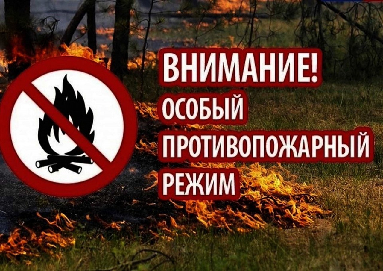 «Особый противопожарный режим» на землях лесного фонда.