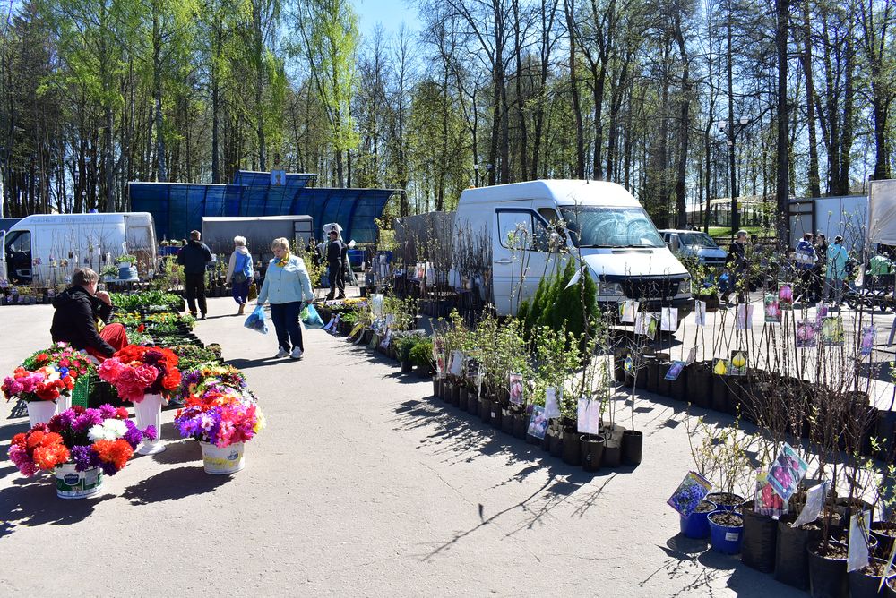 3 мая на центральной площади р.п.Демянск прошла весенняя сельскохозяйственная ярмарка.