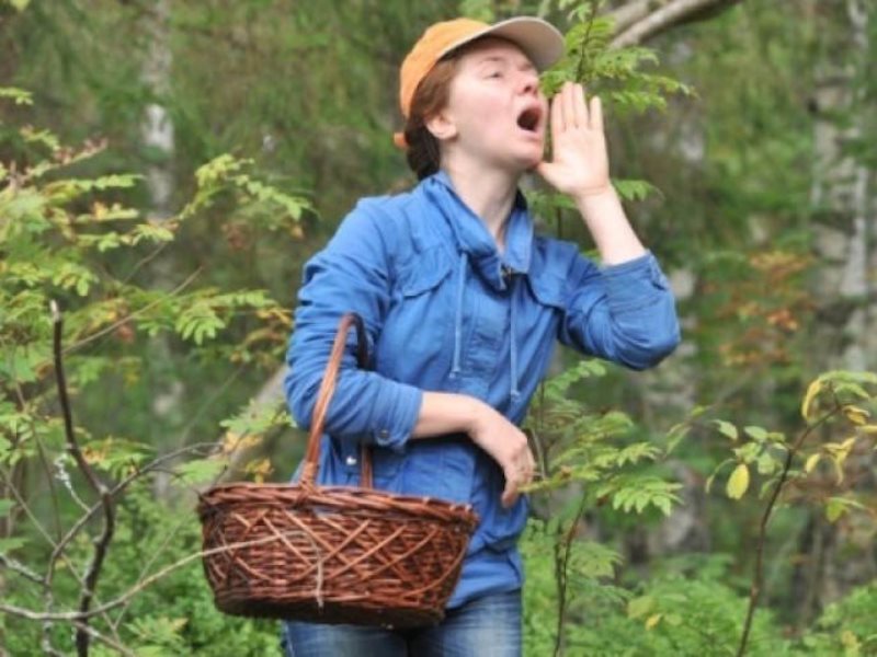 Отправляясь в лес, мало кто задумывается, что может заблудиться.