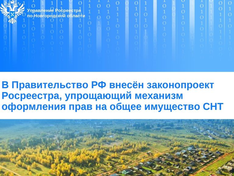 Оформление общего имущества в СНТ может стать проще.