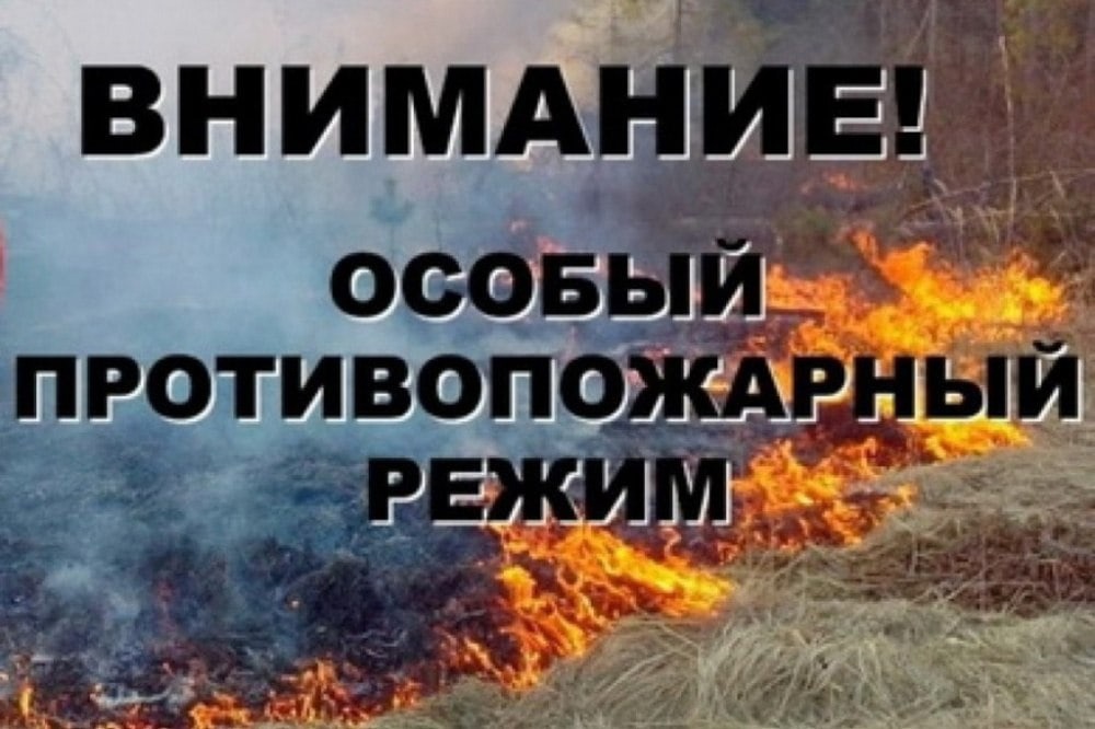 С 14 апреля 2023 года на территории Новгородской области введен особый противопожарный режим.