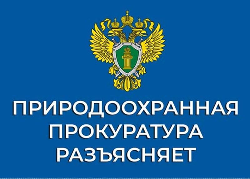 Новгородская межрайонная природоохранная прокуратура информирует.