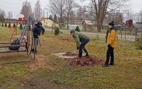 11 ноября был проведен субботник в парке д. Ямник.