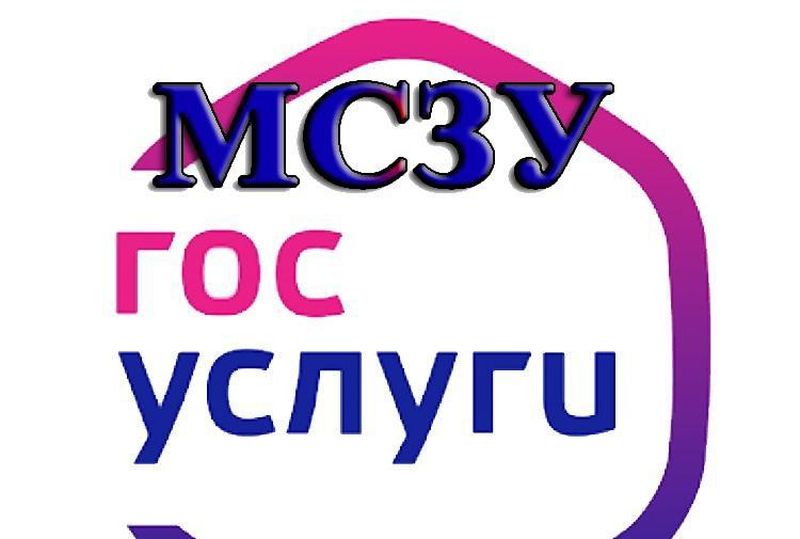 Массовая социально-значимая услуга.