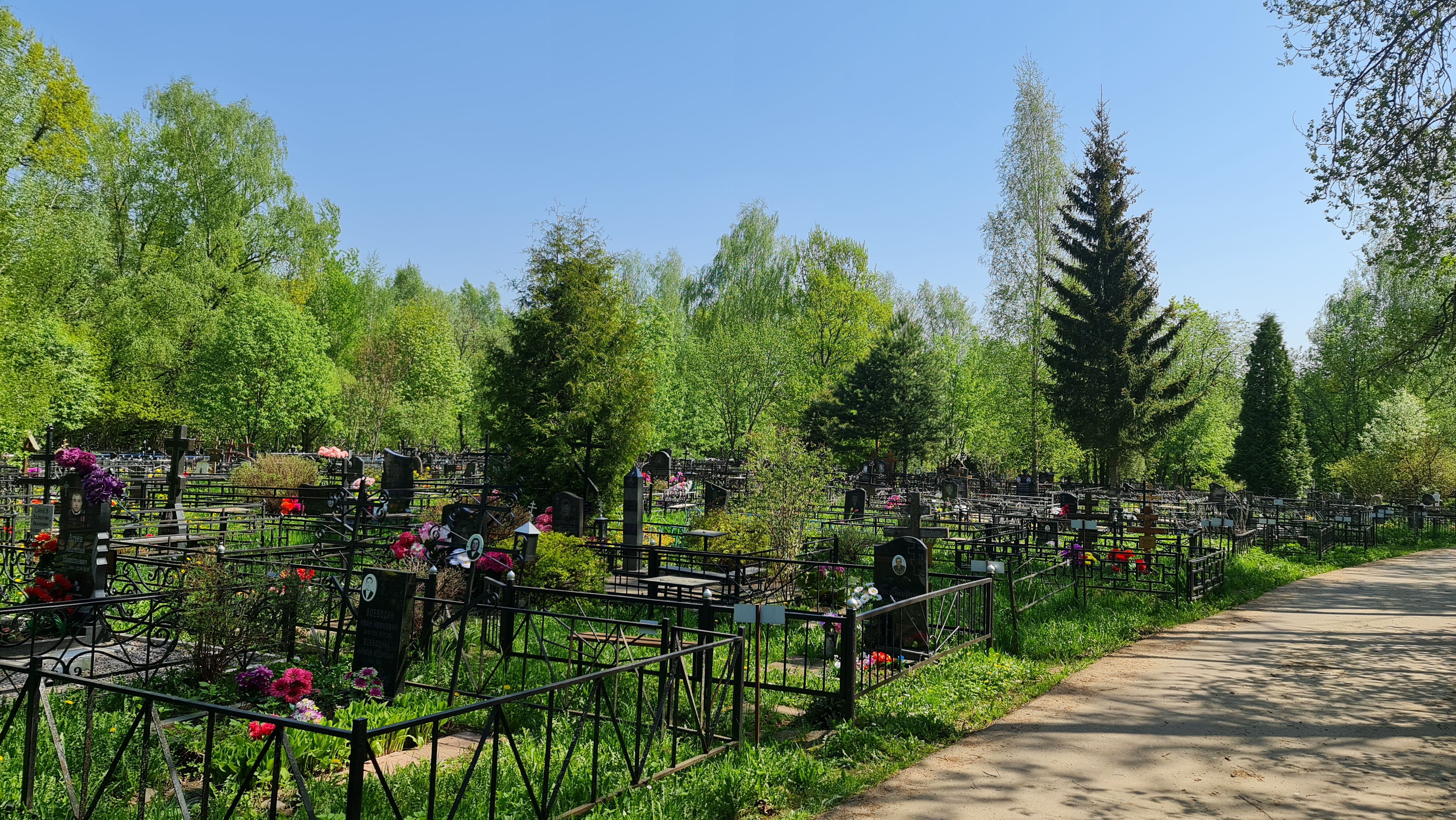 Проведено обследование состояния гражданского  кладбища в р.п Демянск.