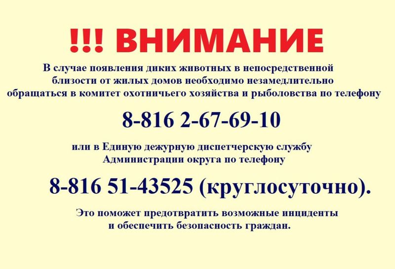 Сегодня ночью охотниками клуба охотников и рыболовов «Селигер» под руководством Федорова А.П. добыто два волка.