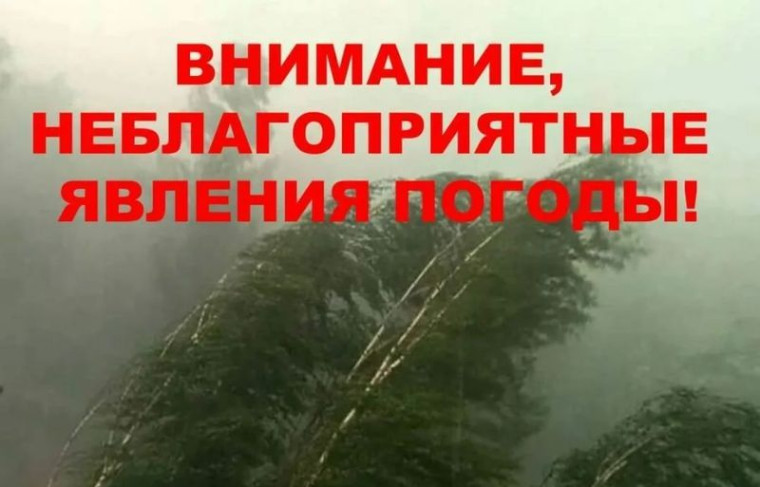 Неблагоприятные погодные явления. Неблагоприятные погодные явления.